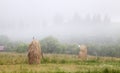 Dry haystacks on the mown field, foggy background. The Carpathian mountains. Royalty Free Stock Photo