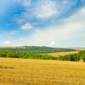 Mown wheat field with bales of straw against a blue sky on a summer day Royalty Free Stock Photo