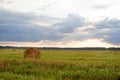 Mown wheat field with bales of straw against a blue sky on a summer day at sunset. Agriculture Royalty Free Stock Photo