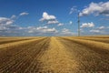 Mown wheat field.