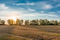 Mown wheat field at sunset, rural peaceful landscape