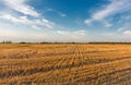 Mown wheat field at sunset, rural peaceful landscape