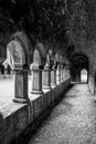 Moyne Abbey Cloister Royalty Free Stock Photo