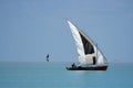 Mozambican dhow Royalty Free Stock Photo