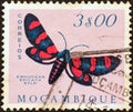 MOZAMBIQUE - CIRCA 1953: A stamp printed in Mozambique shows an Arniocera ericata moth, circa 1953.