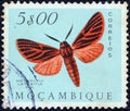 MOZAMBIQUE - CIRCA 1953: A stamp printed in Mozambique shows a Metarctia lateritia moth, circa 1953.