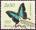 MOZAMBIQUE - CIRCA 1953: A stamp printed in Mozambique shows a Green swallowtail Papilio phorcas ansorgei butterfly, circa 1953.