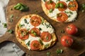 Mozarella Basil and Tomato Flatbread PIzza