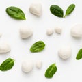 Mozarella cheese balls and basil leaves on white background Royalty Free Stock Photo