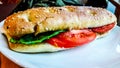 Mozarella Sandwich with tomatoes and greens Royalty Free Stock Photo