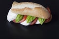 Mozarella tomato sandwich Royalty Free Stock Photo