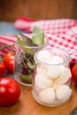 Mozzarella and basilicas Royalty Free Stock Photo