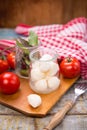 Mozzarella and basilicas Royalty Free Stock Photo