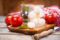 Mozzarella and basilicas Royalty Free Stock Photo