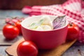 Mozzarella and basilicas Royalty Free Stock Photo