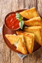 Mozzarella in Carrozza Fried Italian Sandwiches with sauce closeup in the plate. Vertical top view