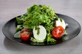 Mozzarella ceaser salad Royalty Free Stock Photo