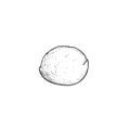 Mozzarella cheese ball. Hand drawn sketch style drawing of traditional Italian cheese. Fresh soft butter cheese.