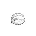 Mozzarella cheese ball. Hand drawn sketch style drawing of traditional Italian cheese. Fresh soft butter cheese.