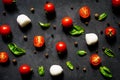 Mozzarella cheese balls with fresh basil leaves and cherry tomatoes,  ingredients for Italian Caprese salad, on a black background Royalty Free Stock Photo