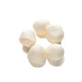 Mozzarella cheese in balls. View from above. White background. Isolated Royalty Free Stock Photo