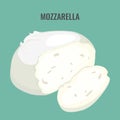 Mozzarella cheese big piece isolated on blue background.