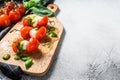 Mozzarella Cheese canape sandwiches on skewers, Caprese salad. gray background. top view. Copy space Royalty Free Stock Photo