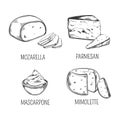 Mozzarella cheese and parmesan, mimolette sketches Royalty Free Stock Photo