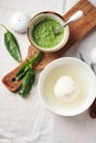 Mozzarella cheese and pesto sauce Royalty Free Stock Photo