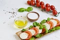 Mozzarella cheese with red tomatoes and basil leaves Royalty Free Stock Photo