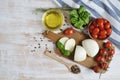 Mozzarella cheese with red tomatoes and basil leaves, pepper, olive oil Royalty Free Stock Photo