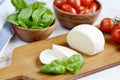 Mozzarella cheese with red tomatoes and basil leaves, pepper, olive oil Royalty Free Stock Photo