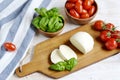 Mozzarella cheese with red tomatoes and basil leaves, pepper, olive oil Royalty Free Stock Photo