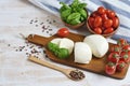 Mozzarella cheese with red tomatoes and basil leaves, pepper, olive oil Royalty Free Stock Photo