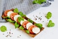 Mozzarella cheese with red tomatoes and basil leaves Royalty Free Stock Photo