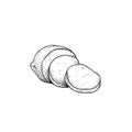Mozzarella cheese sliced. Hand drawn sketch style drawing of traditional Italian cheese made from buffalo milk. Fresh soft butter