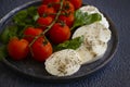 Mozzarella cheese, tomato, basil   a dark background Royalty Free Stock Photo