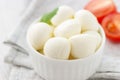 Mozzarella cheese in white bowl Royalty Free Stock Photo