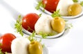 Mozzarella, cherry tomatoes and olives garnished w