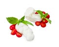 Mozzarella di Bufala, fresh cheese, italian dairy product. Royalty Free Stock Photo