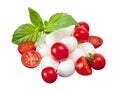 Mozzarella di Bufala, fresh cheese, italian dairy product. Royalty Free Stock Photo