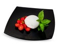 Mozzarella di Bufala, fresh cheese, italian dairy product. Royalty Free Stock Photo