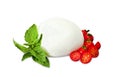 Mozzarella di Bufala, fresh cheese, italian dairy product. Royalty Free Stock Photo