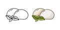 Mozzarella doodle icon. Linear and color version. Black simple illustration of Italian cheese with basil leaves for packaging