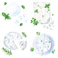 Mozzarella, feta, ricotta and bri cheese collection with provence herbs. Watercolor illustration isolated on white Royalty Free Stock Photo