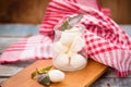 Mozzarella Royalty Free Stock Photo