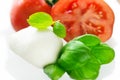 Mozzarella fresh tomato