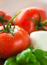 Mozzarella fresh tomato
