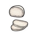 Mozzarella half and slices. Vvintage color engraving illustration isolated on white