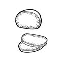Mozzarella half and slices. Vvintage engraving illustration isolated on white